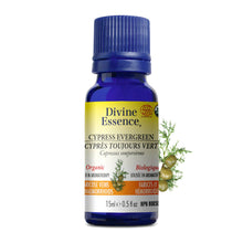 Divine Essence Organic Cypress Evergreen Oil (15ml)