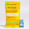 Herbaland Snack Gummies - Turmeric & Ginger (40g)