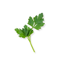 Certified Organic Italian Parsley (bunch) - Lifestyle Markets