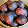 Certified Organic Italian Plums