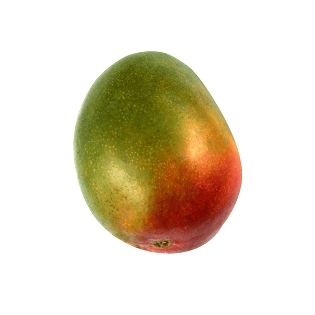 A single fresh organic mango with a green and red hue on a white background.