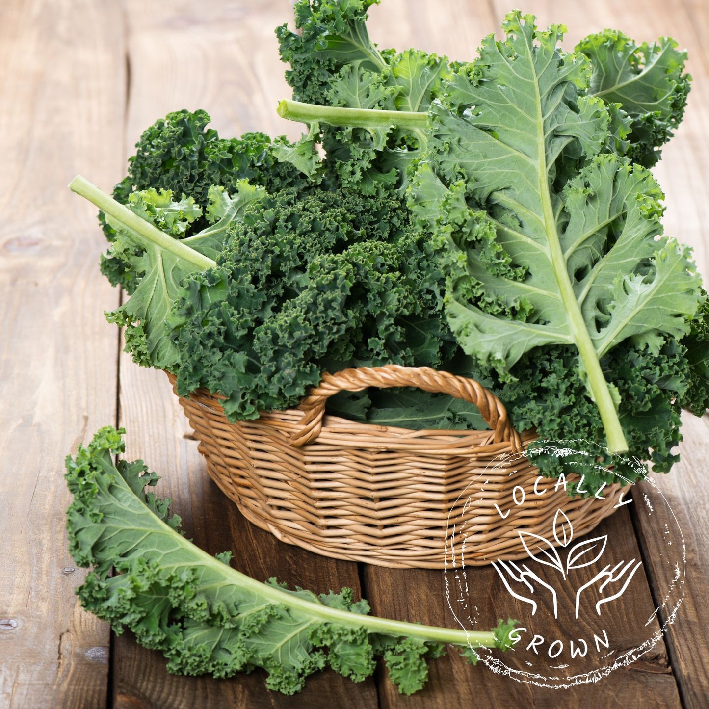 Certified Organic LOCAL Green Kale (Each)