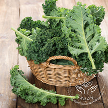 Certified Organic LOCAL Green Kale (Each)