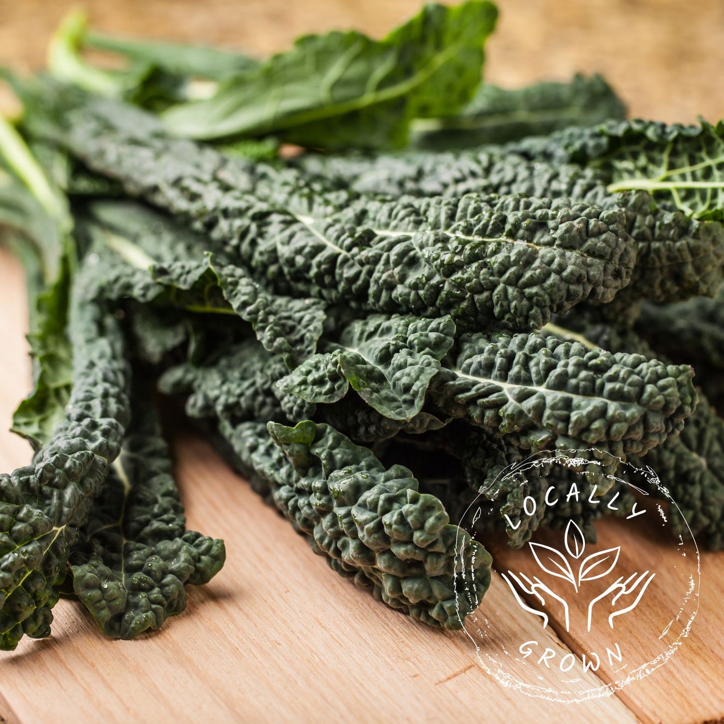 Certified Organic LOCAL Lacinato Kale (Each)