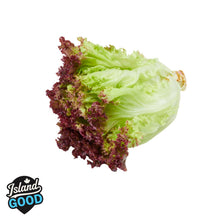 Certified Organic LOCAL Red Leaf Lettuce (Each)