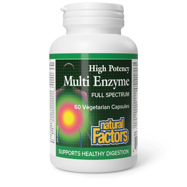 Natural Factors High Potency Multi Enzyme (VCaps)