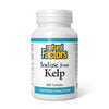 Natural Factors Iodine from Kelp (180 Tabs)