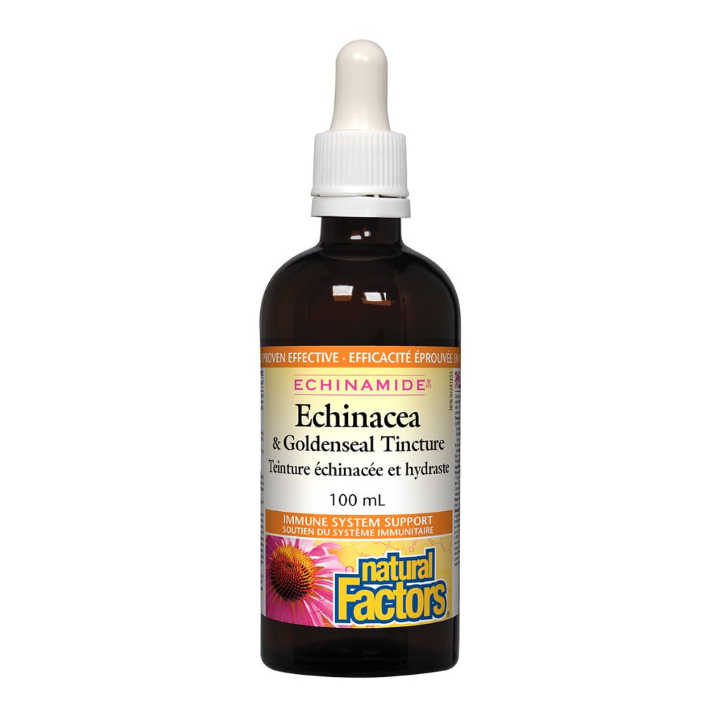 Natural Factors Echinamide Echinacea & GoldenSeal Tincture (100ml)