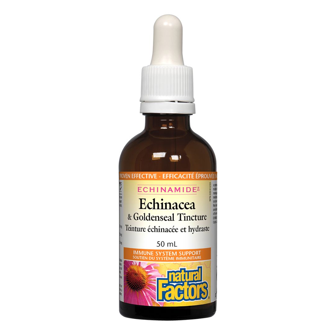 Natural Factors Echinamide Echinacea & GoldenSeal Tincture (50ml) - Lifestyle Markets