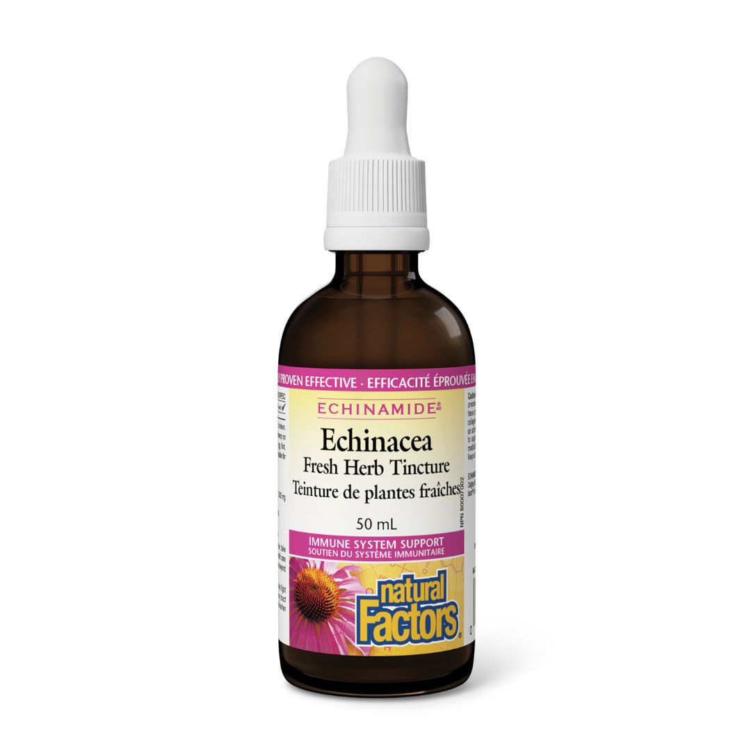 Natural Factors Echinamide Anti-Cold Fresh Herb Tincture (50ml) - Lifestyle Markets