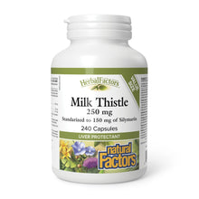 Natural Factors Milk Thistle 250g (150mg Silymarin )