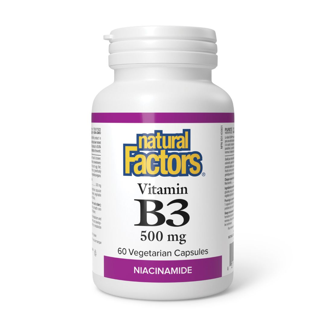 Natural Factors Vitamin B-3 Niacinamide (500mg) (60 VCaps)