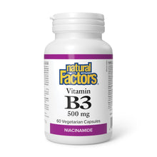 Natural Factors Vitamin B-3 Niacinamide (500mg) (60 VCaps)
