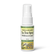 Natural Factors Tea Tree Spray (30ml) - Lifestyle Markets