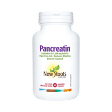 New Roots Pancreatin (60 VCaps) - Lifestyle Markets