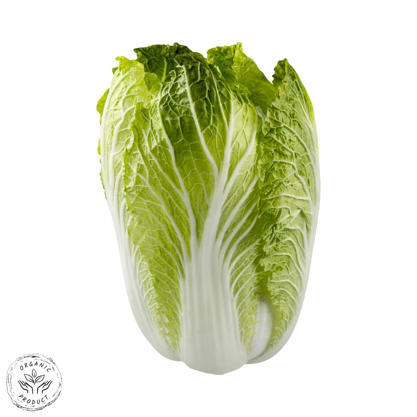 Certified Organic Napa Cabbage (per kg)