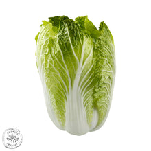 Certified Organic Napa Cabbage (per kg)