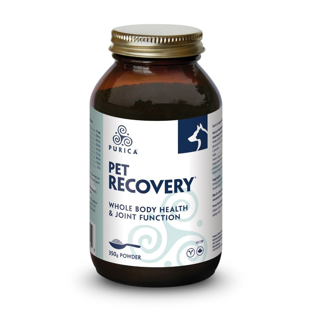 Purica Recovery SA (For PETS) (350g)