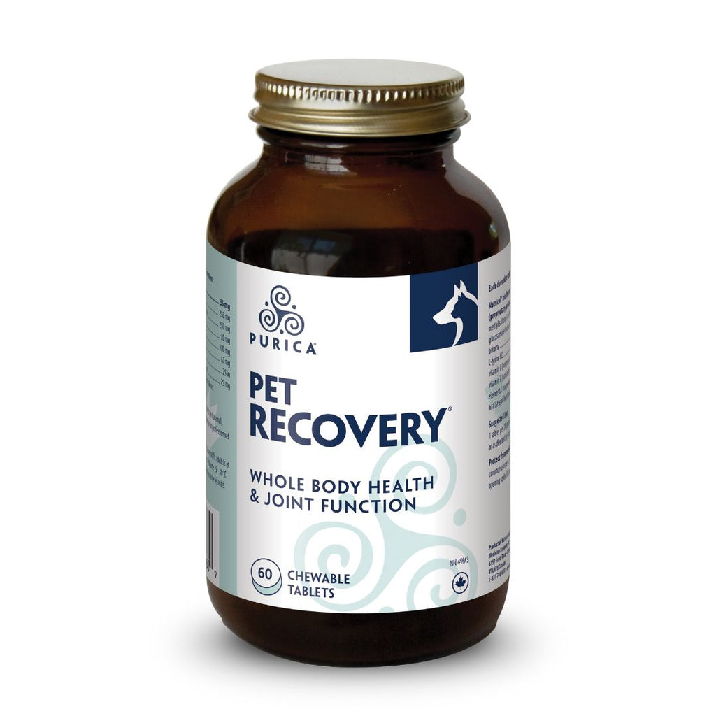 Purica Recovery SA (For PETS) (60 Chewable Tablets)