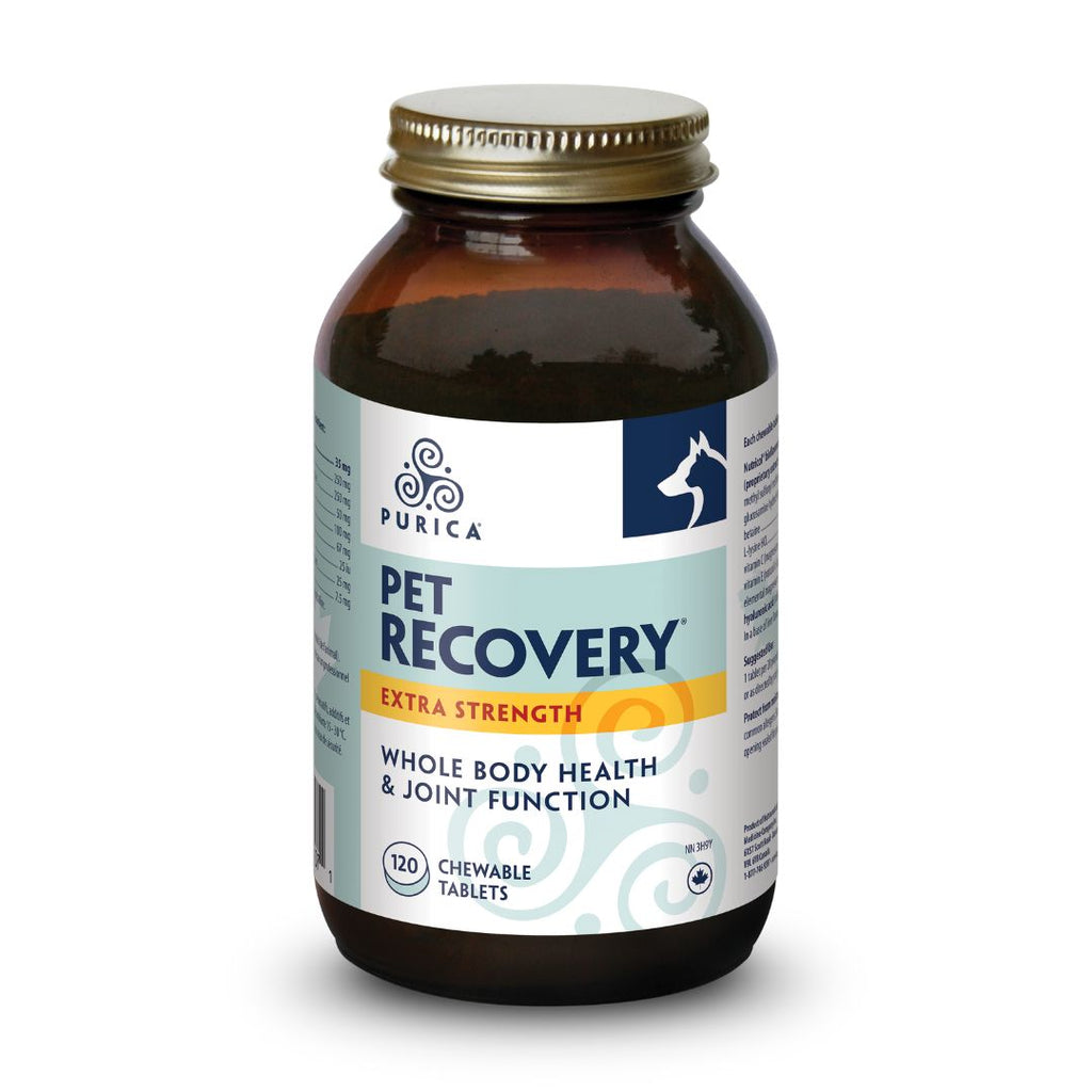 Purica Recovery SA (For PETS) Extra Strength (120 Chewable Tablets)