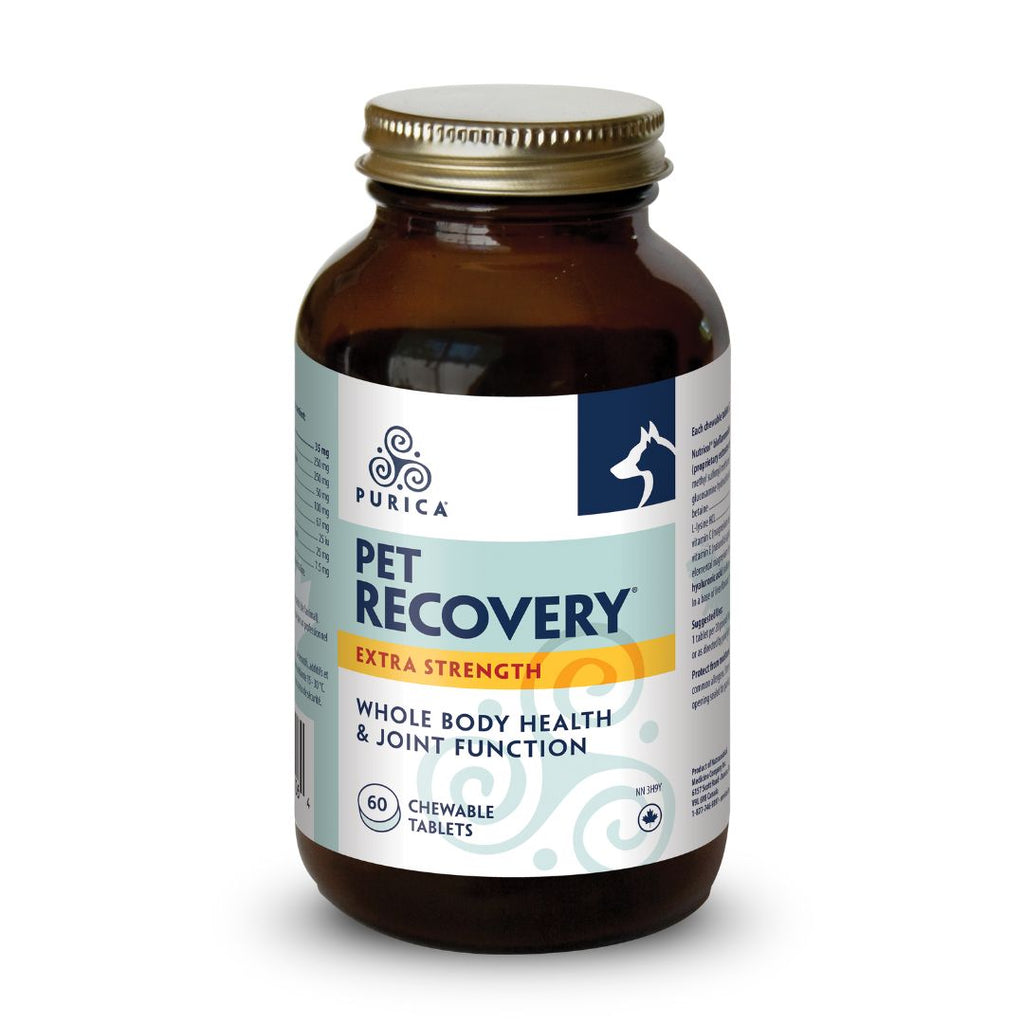 Purica Recovery SA (For PETS) Extra Strength (60 Chewable Tablets)