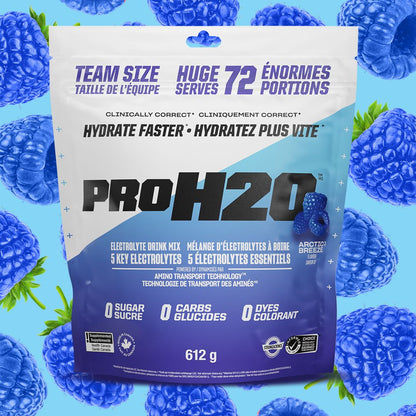 PVL Pro H20 Arctic Breeze - Lifestyle Markets