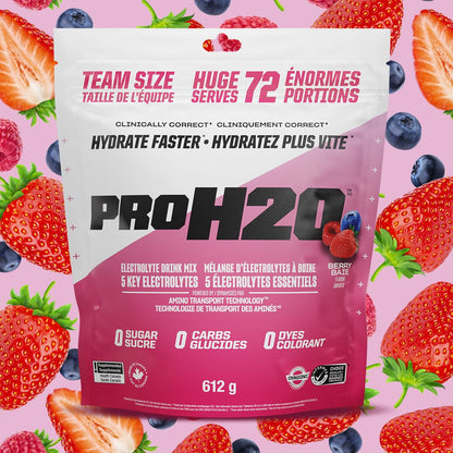 PVL Pro H20 Berry Blast - Lifestyle Markets