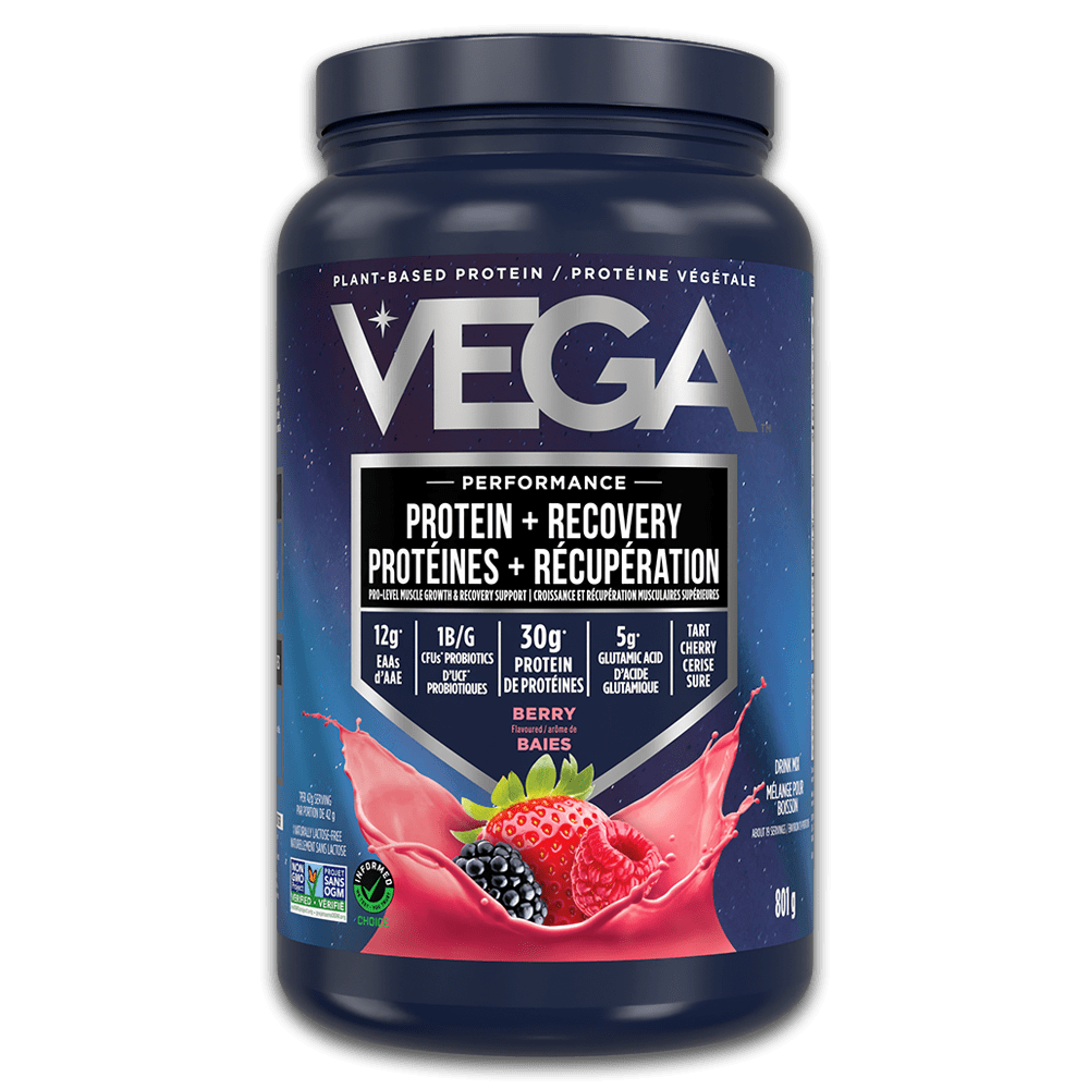 A container of Vega Sport Protein+Recovery in Berry Flavour, featuring a mix of plant-based protein, BCAAs, tart cherry, and probiotics, with a 'Performance' label on the top.