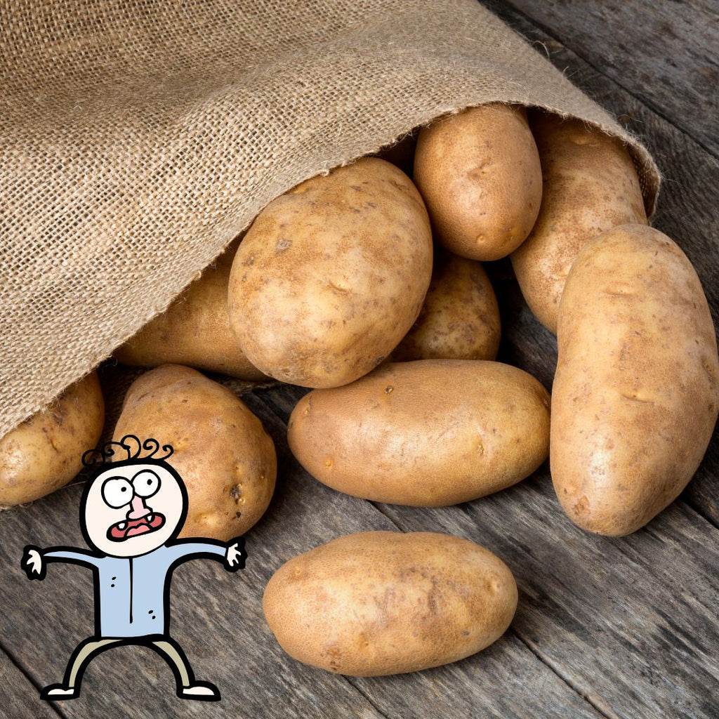 Certified Organic PUGLY Russet Potatoes 5lbs. (2.27kg bag)