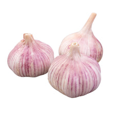 Certified Organic Purple Garlic - Lifestyle Markets