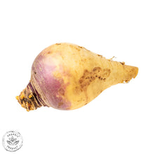 Certified Organic Rutabaga
