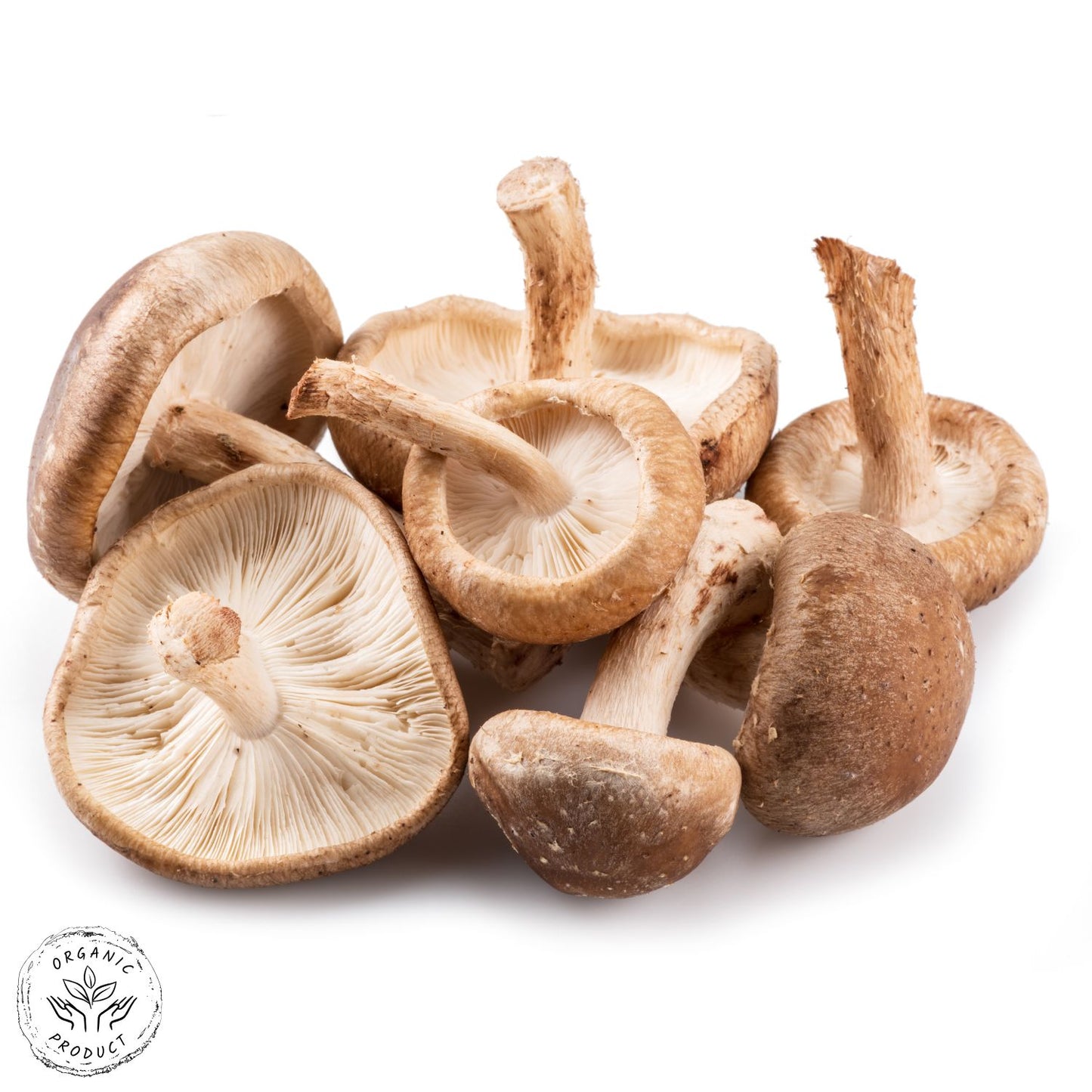 Certified Organic Shiitake Mushrooms