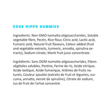 Healthy Hippo Gummies - Sour (50g) - Lifestyle Markets