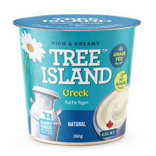 Tree Island Greek yogurt container with blue lid and white label on a white background