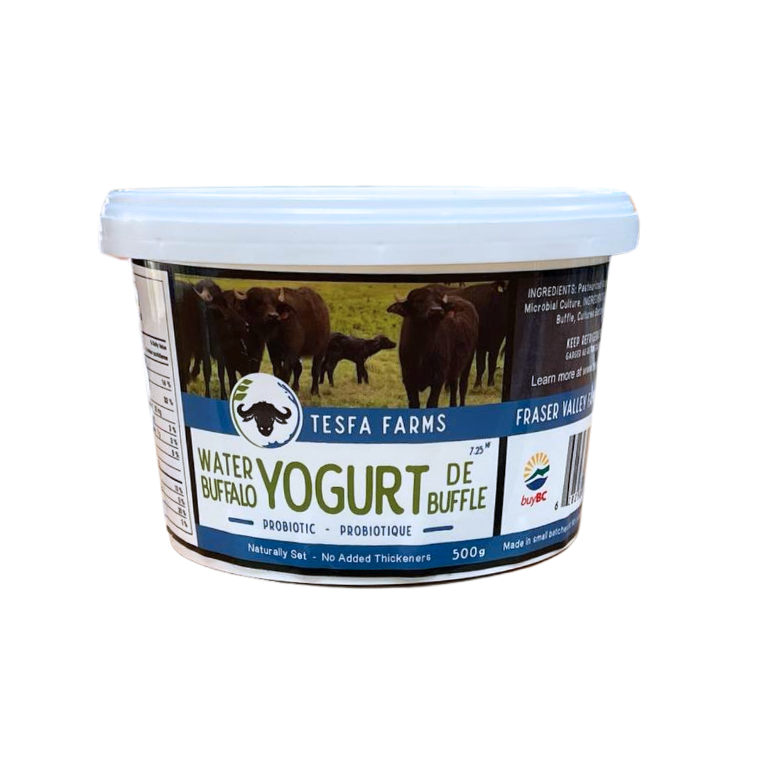 Tesfa Farms Water Buffalo Yogurt (500g) - Lifestyle Markets