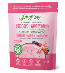 VegiDay All-in-one Plant Protein, Berry (475g)