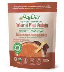 VegiDay All-in-one Plant Protein, Chocolate (470g)