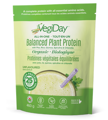 VegiDay All-in-one Plant Protein, Unflavoured (460g)