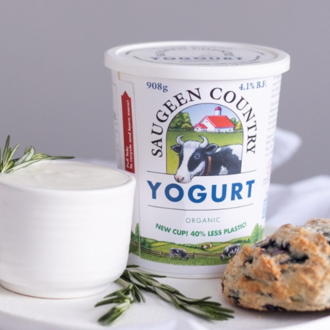 Saugeen Country Organic Yogurt (908g) - Lifestyle Markets