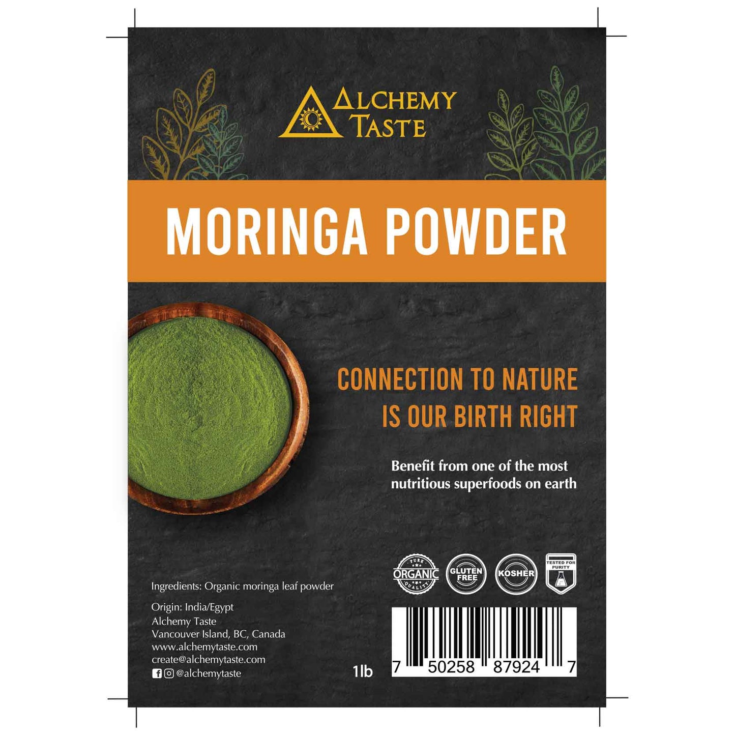 Alchemy Taste Moringa