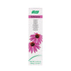 A. Vogel Echinacea Toothpaste (100g)