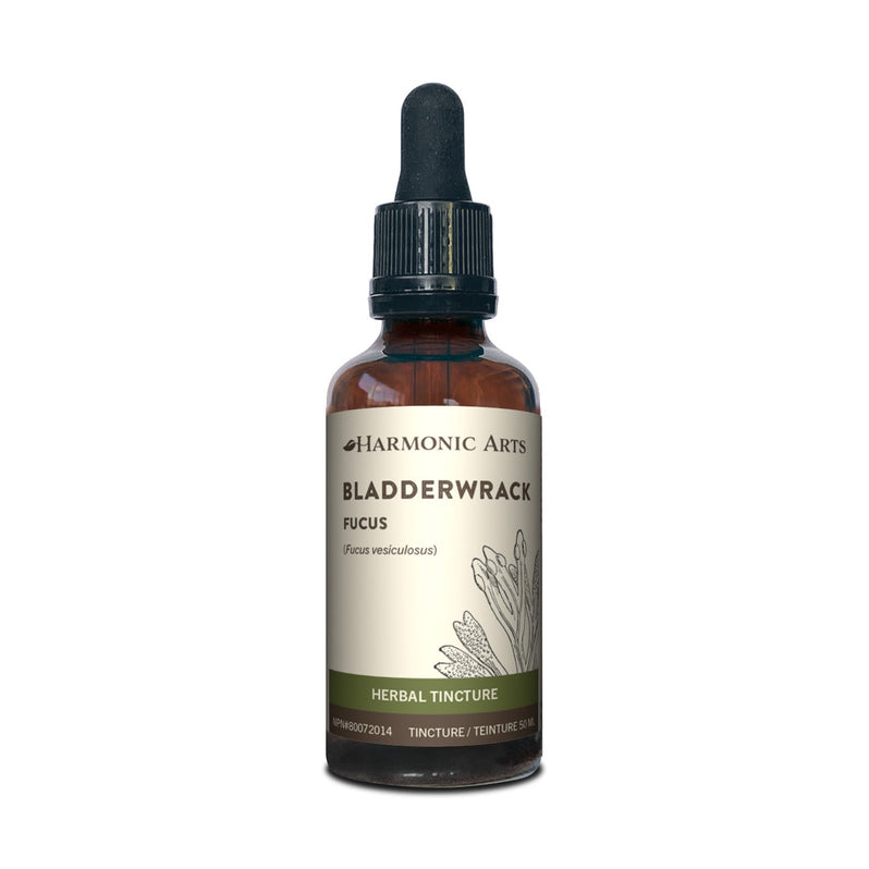 Harmonic Arts Bladderwrack Tincture (50ml)