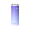Can of Blueberry Ginger Fombuscha with 'Cooler Co.' branding on a white background