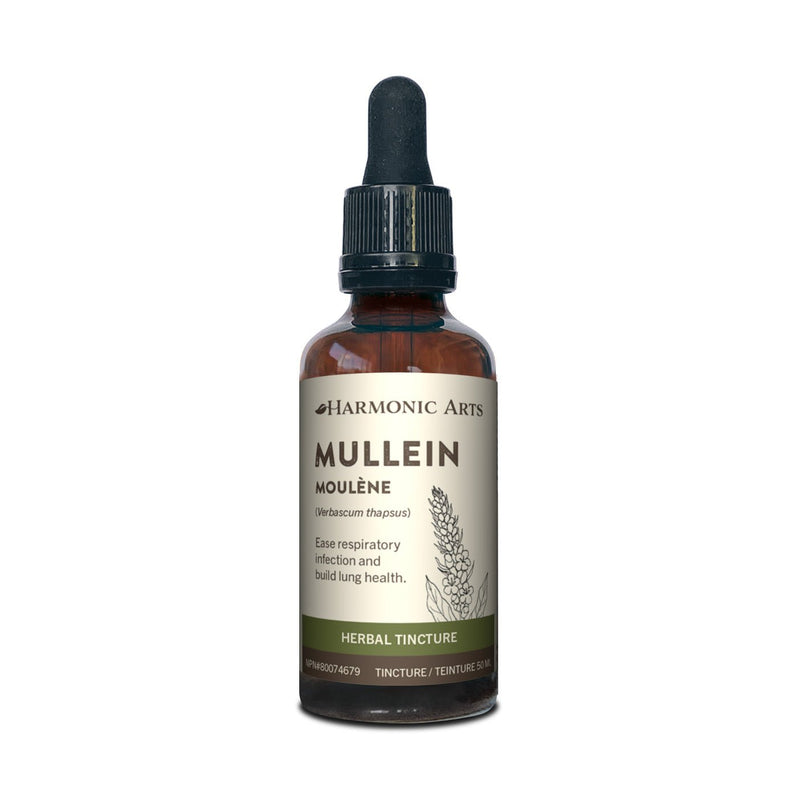 Harmonic Arts Mullein Leaf Tincture (50ml)