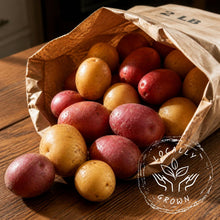 Certified Organic LOCAL Yellow/Red Nugget Potatoes (908g)