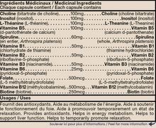 CanPrev Synergy B (60VCaps) - Lifestyle Markets