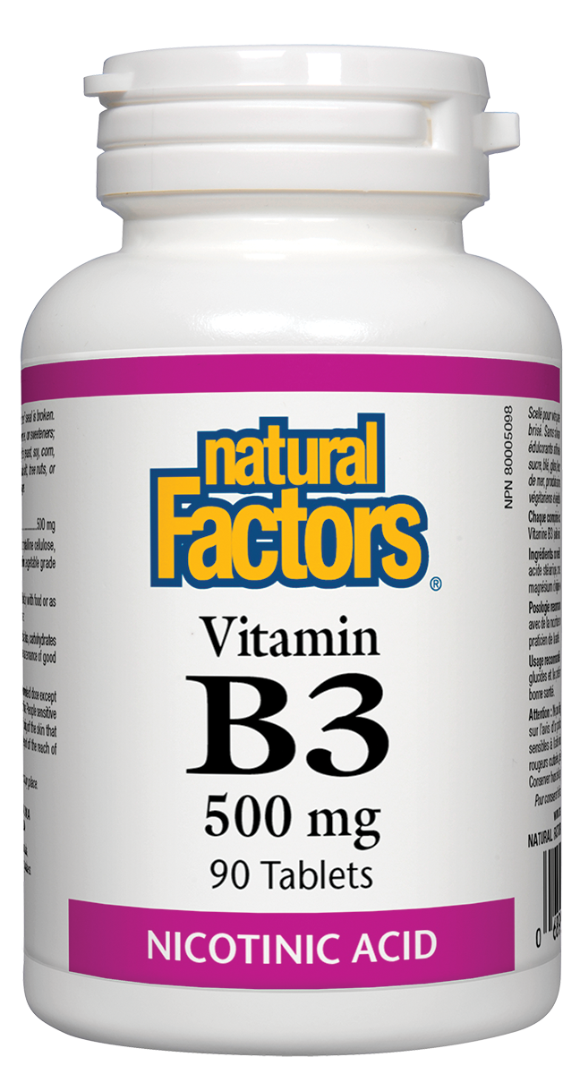 Natural Factors Vitamin B-3 (500mg) (90 Tablets) - Lifestyle Markets