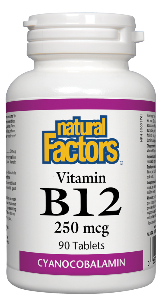 Natural Factors B-2 Riboflavin (100mg) (90 Tablets) - Lifestyle Markets