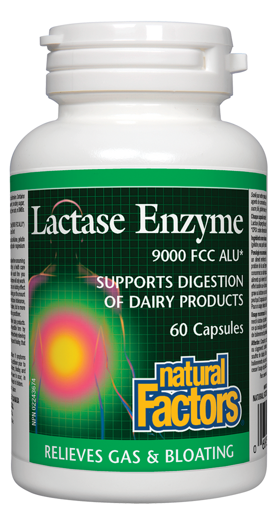 Natural Factors Lactase Enzyme (60 Capsules) - Lifestyle Markets