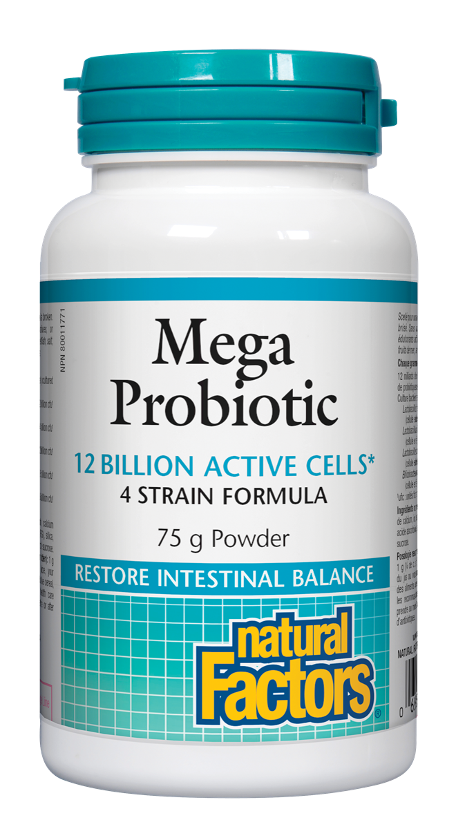 Natural Factors Mega Probiotic Powder (75g) - Lifestyle Markets
